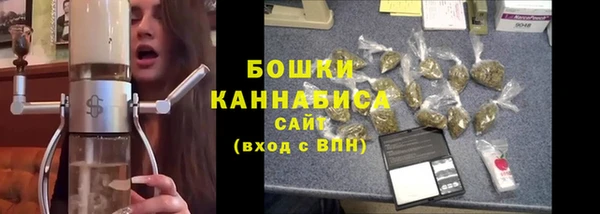 альфа пвп Горнозаводск